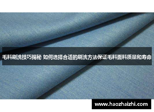 毛料刷洗技巧揭秘 如何选择合适的刷洗方法保证毛料面料质量和寿命